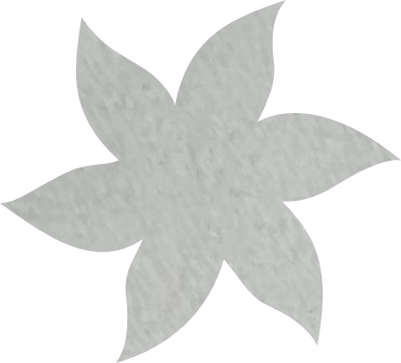 Fleur papier crépon blanc