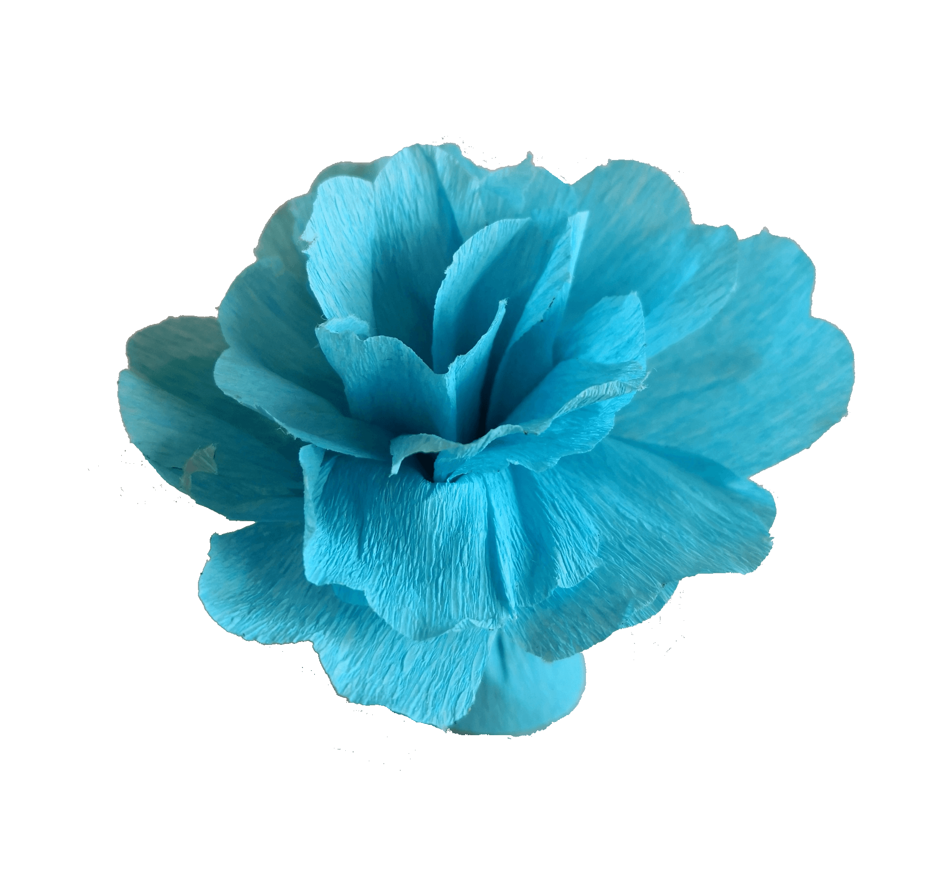 fleur pétale en papier crépon bleu ciel
